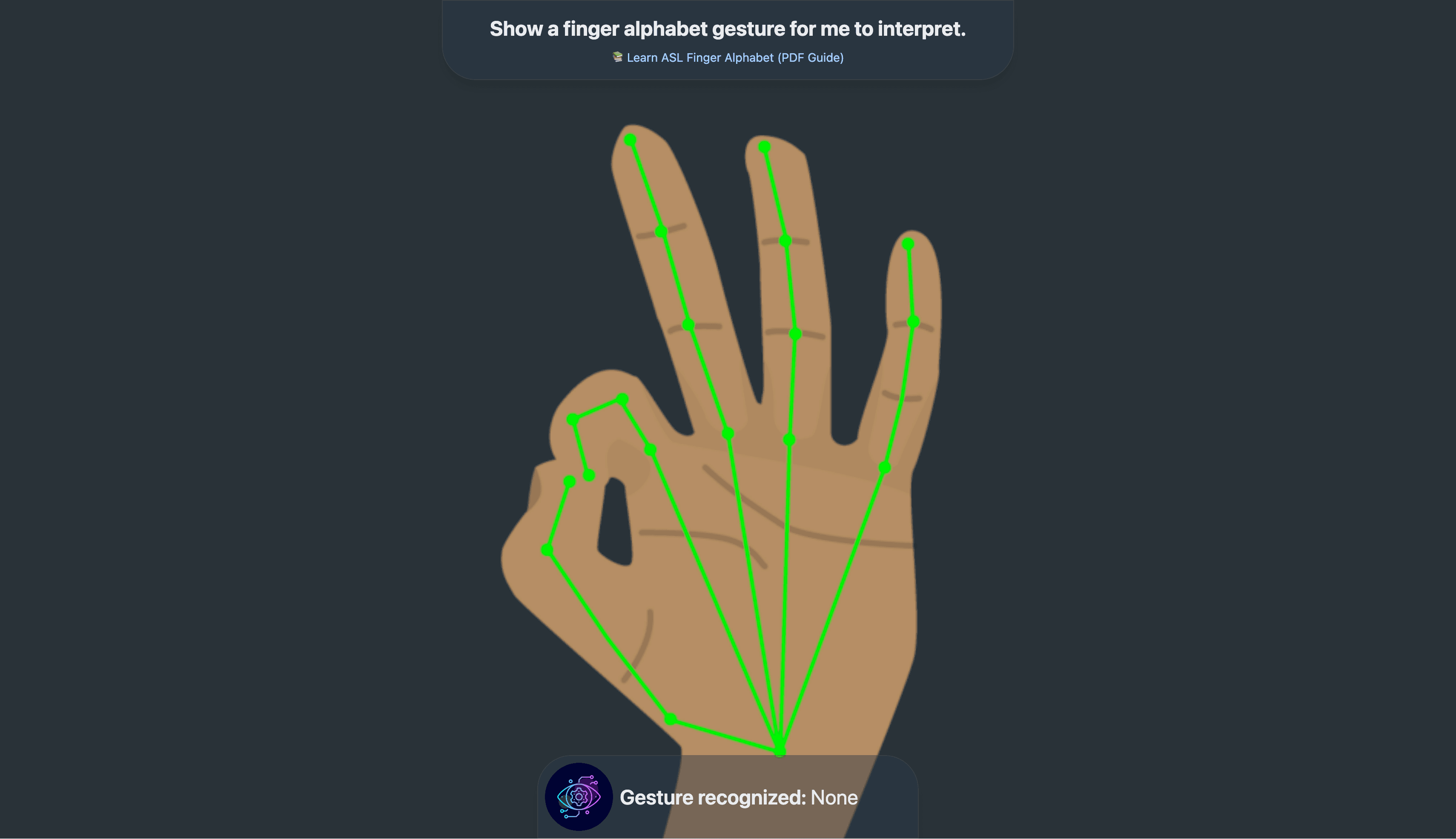 Sign Language Recognition